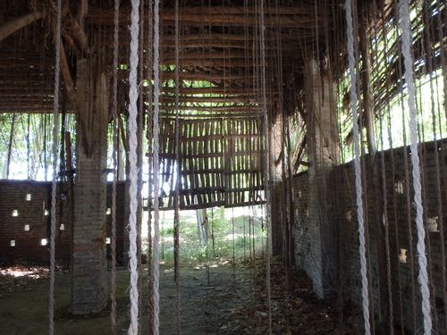 The hanging lines are for suspending bundles of Tobacco Leaves.